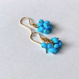 Sleeping Beauty Turquoise Compact Bouquet Earrings 