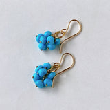 Sleeping Beauty Turquoise Compact Bouquet Earrings 