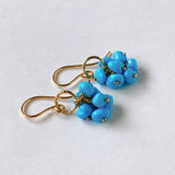 Sleeping Beauty Turquoise Compact Bouquet Earrings 