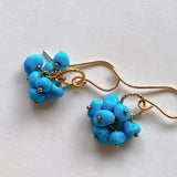 Sleeping Beauty Turquoise Compact Bouquet Earrings 